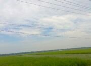 Update BMKG: Siang Ini Bojonegoro Berpotensi Hujan Ringan