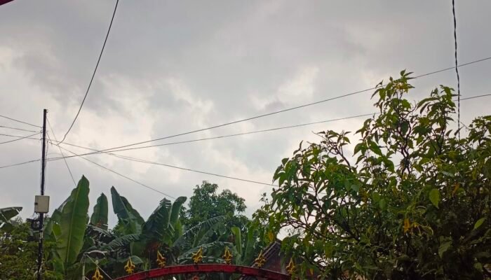 Update BMKG: Bojonegoro Berawan Seharian, Suhu Capai 28°C