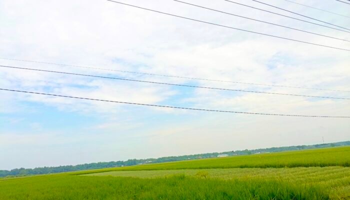 Cuaca Bojonegoro Stabil, BPBD Pastikan Nihil Bencana Hari Ini