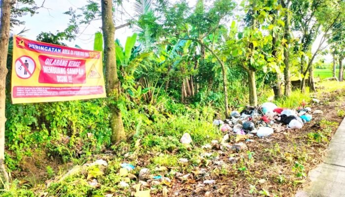 Sampah Liar Menggunung di Balenrejo Bojonegoro, Larangan Terus Dilanggar