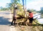 Aksi Sigap Polisi dan Warga, Pohon Tumbang di Lamongan Cepat Disingkirkan