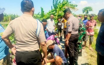Berangkat Cek Tambak, Lansia di Lamongan Ditemukan Tak Bernyawa di Sungai