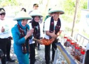 Program Gayatri PKK Bojonegoro, Pekarangan Rumah Disulap Jadi Sumber Gizi dan Cuan