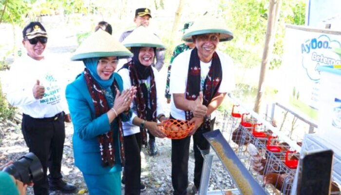 Program Gayatri PKK Bojonegoro, Pekarangan Rumah Disulap Jadi Sumber Gizi dan Cuan