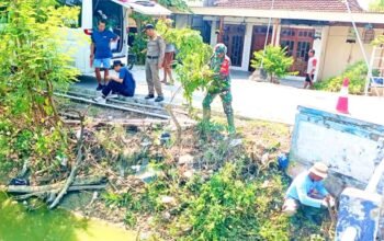 Loreng dan Cangkul Bersatu, Koramil Turi Lamongan Hijaukan Desa Balun