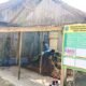 IMG 20260509 WA0036