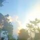 IMG 20260513 WA0019