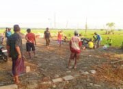 Salut, Warga Dusun Bayemgede Kepohbaru Bojonegoro Patungan Demi Pembangunan Makam