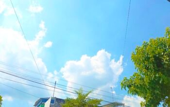 IMG 20260514 WA0004