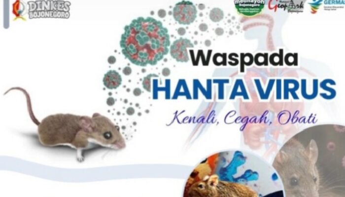Dinkes Bojonegoro Peringatkan Bahaya Hantavirus yang Menular Lewat Tikus