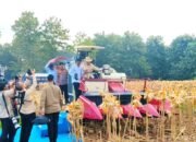 Hadiri Panen Raya Jagung di Tuban, Prabowo Apresiasi Kinerja Polri