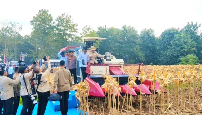 Hadiri Panen Raya Jagung di Tuban, Prabowo Apresiasi Kinerja Polri