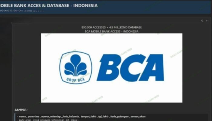 4,9 Juta Data BCA Diklaim Dijual di Dark Web, Nasabah Diminta Waspada