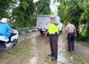 Rem Blong, Truk Tangki Hantam Pohon di Babat Lamongan