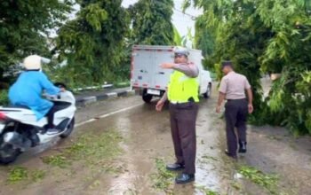 Rem Blong, Truk Tangki Hantam Pohon di Babat Lamongan