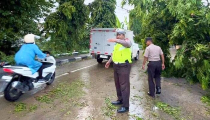 Rem Blong, Truk Tangki Hantam Pohon di Babat Lamongan