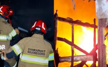 Damkarmat Bojonegoro Gerak Cepat Padamkan Kebakaran Rumah di Kanor Bojonegoro