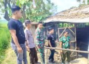 Dugaan Judi Sabung Ayam di Lamongan Kembali Ramai, Publik Soroti Kinerja Penegak Hukum