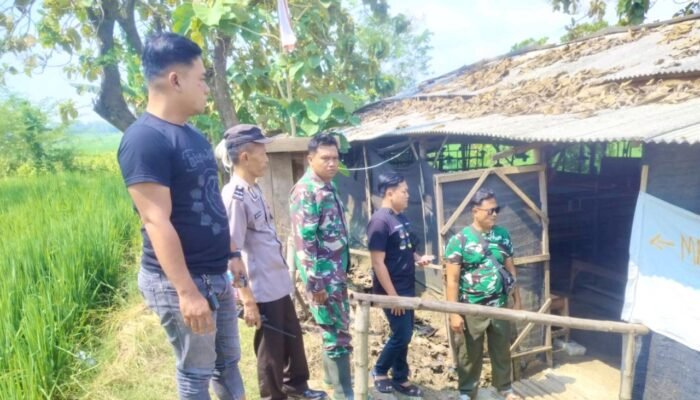Dugaan Judi Sabung Ayam di Lamongan Kembali Ramai, Publik Soroti Kinerja Penegak Hukum