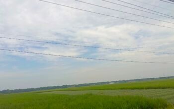 IMG 20260525 WA0003