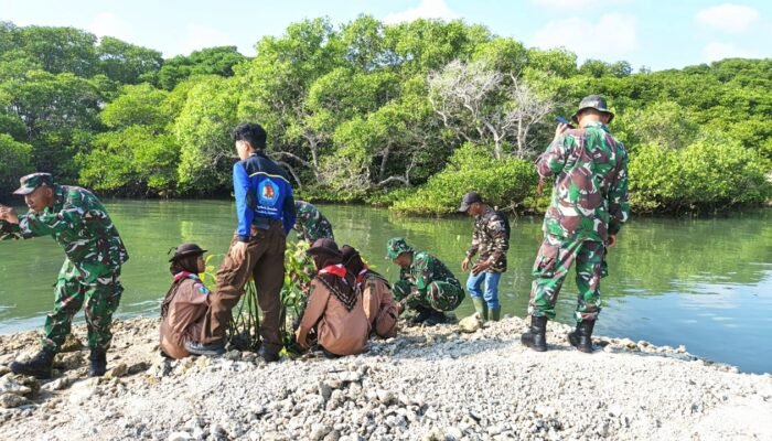 Pantai Pengkolan Lamongan Hijaukan, TNI dan Warga Kompak Tanam Mangrove