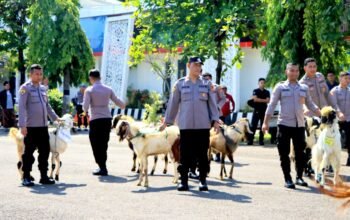 Polres Tuban Salurkan Kurban 42 Hewan, Pesantren dan Masjid Jadi Prioritas