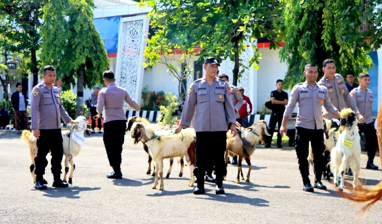 IMG 20260526 WA0014