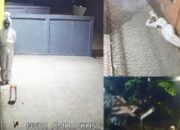 Heboh Teror Pocong Ketuk Rumah Warga, Polisi Bongkar Dugaan Modus Perampokan