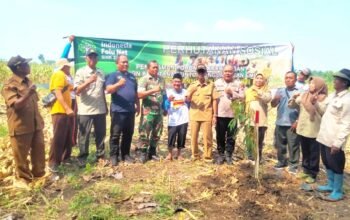 Aksi Babinsa di Lamongan Ini Curi Perhatian, Tanam Pohon Demi Masa Depan