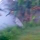 IMG 20260529 WA0005