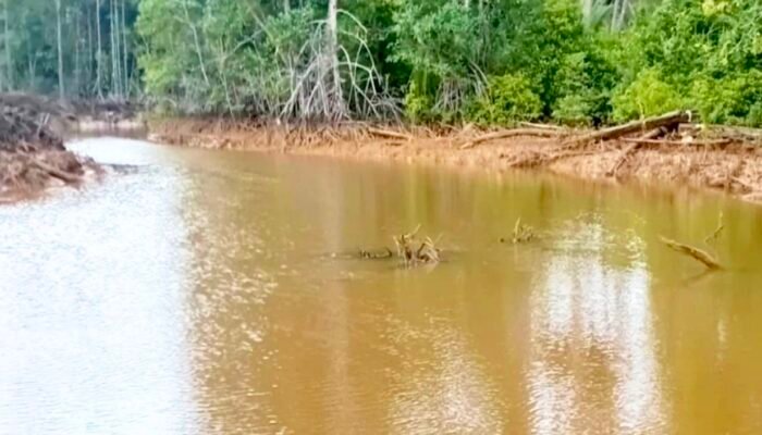 Dugaan Pencemaran Teluk Buli Halmahera Timur Menguat, Akademisi Angkat Bicara