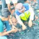 IMG 20260531 WA0025