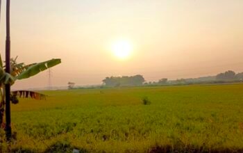 Cuaca Bojonegoro Hari Ini Cerah, Bengawan Solo Berstatus Normal