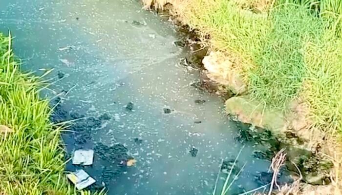 Limbah Tahu di Mulyoagung Balen Ini Mengalir ke Area Pertanian, Warga Minta DLH Bojonegoro Turun Tangan
