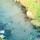 IMG 20260603 WA0002