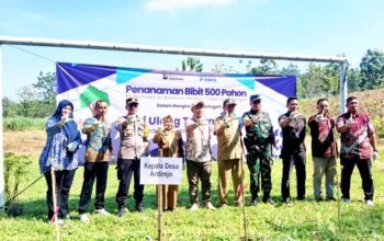 HUT PNM ke-27, 500 Bibit Pohon Ditanam di Sambeng Lamongan