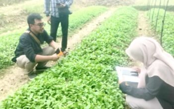 IMG 20260604 WA0008