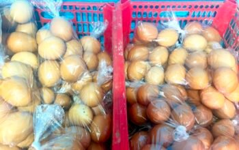 IMG 20260604 WA0038