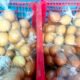 IMG 20260604 WA0038