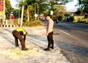 Pemotor Asal Lamongan Meregang Nyawa dalam Kecelakaan Maut dengan Truk di Bojonegoro