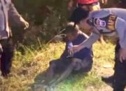 Dikira Meninggal di Sawah Lamongan, Lansia Ini Ternyata Berjalan Kaki dari Surabaya