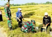Kodim Bojonegoro Gerak Cepat Hijaukan Leran dengan 2.000 Pohon