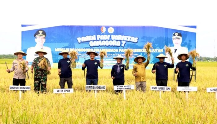 Pertanian Bojonegoro Melonjak 11,38 Persen, Dongkrak Pertumbuhan Ekonomi Daerah