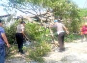 Jalan Deket-Lamongan Sempat Lumpuh, Polisi Sigap Evakuasi Pohon Tumbang