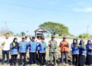Tanam Tembakau Manilo, Warga Ngimbang Lamongan Optimistis Panen Melimpah