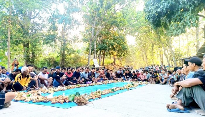 Tradisi Gumbregan Sedulur Sikep Samin Bojonegoro Kembali Digelar