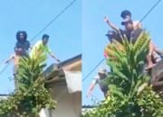 Viral Video Penangkapan Kakek di Cakung Jakarta, Diduga Terlibat Kasus Pemerkosaan Anak