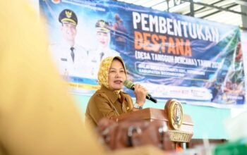 IMG 20260623 WA0047
