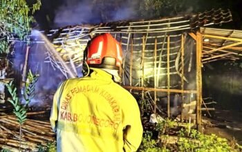 Kebakaran Tengah Malam Gegerkan Dander Bojonegoro, Damkar Kerahkan Tiga Armada