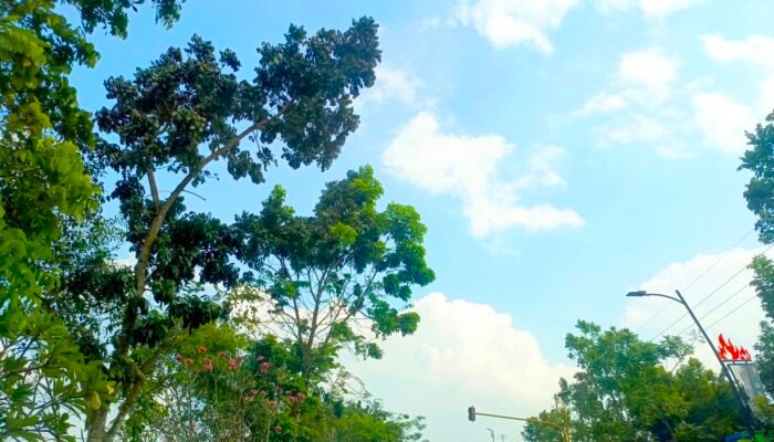 Prakiraan Cuaca Bojonegoro Sabtu 27 Juni 2026, Pagi Berawan Siang Cerah